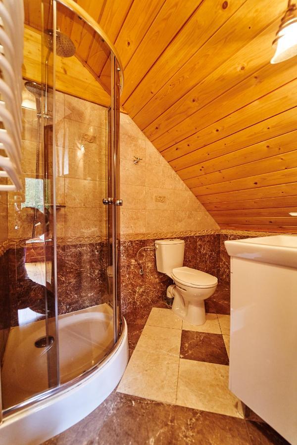 Borysowka Villa Kopanica ภายนอก รูปภาพ